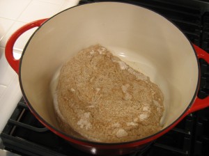 (10) Dough in hot dutch oven